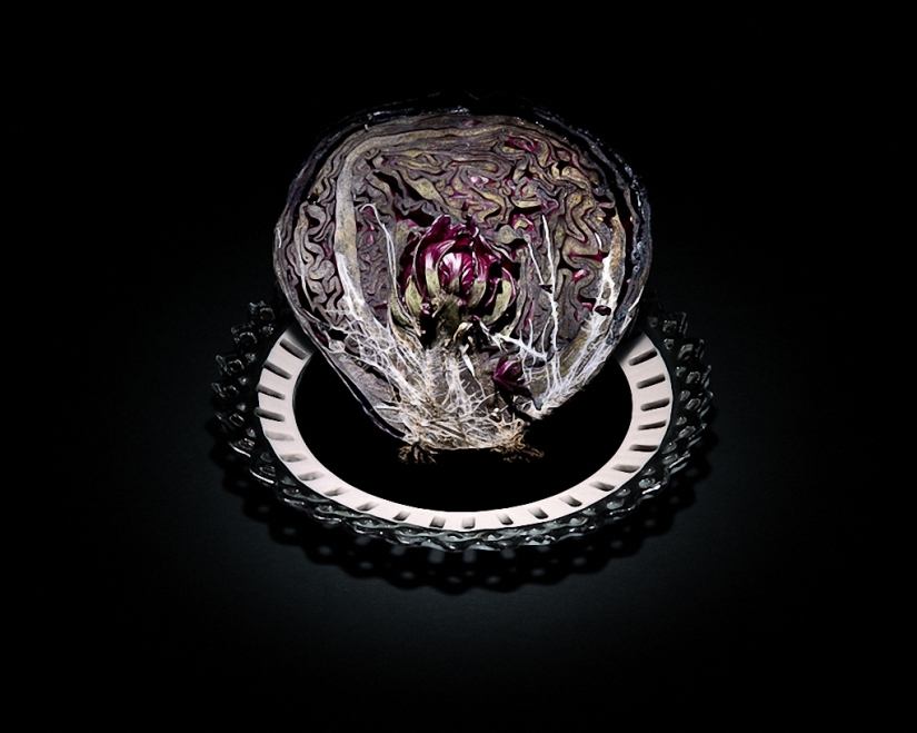 Sickeningly beautiful rotten food