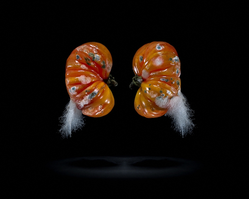 Sickeningly beautiful rotten food