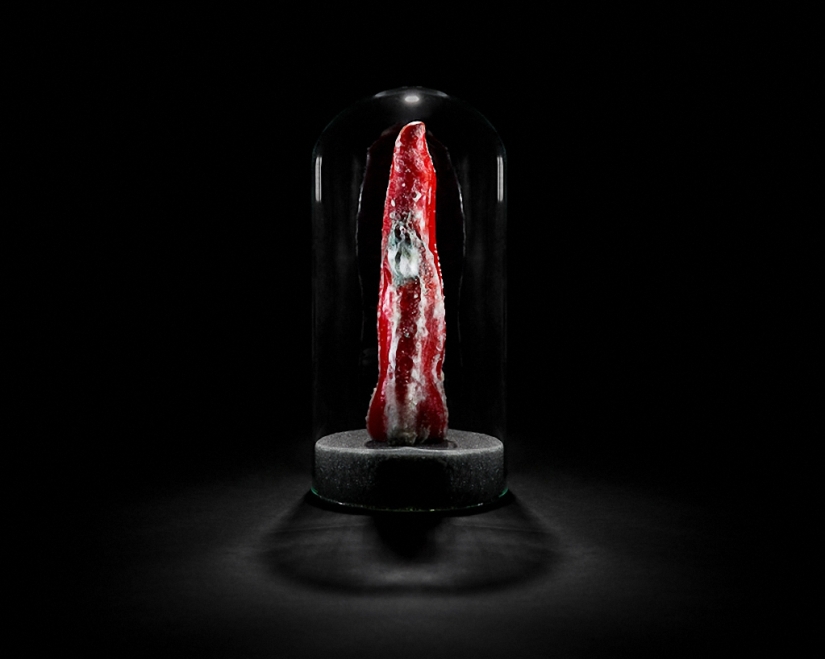 Sickeningly beautiful rotten food