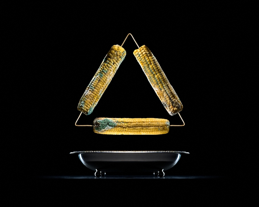Sickeningly beautiful rotten food