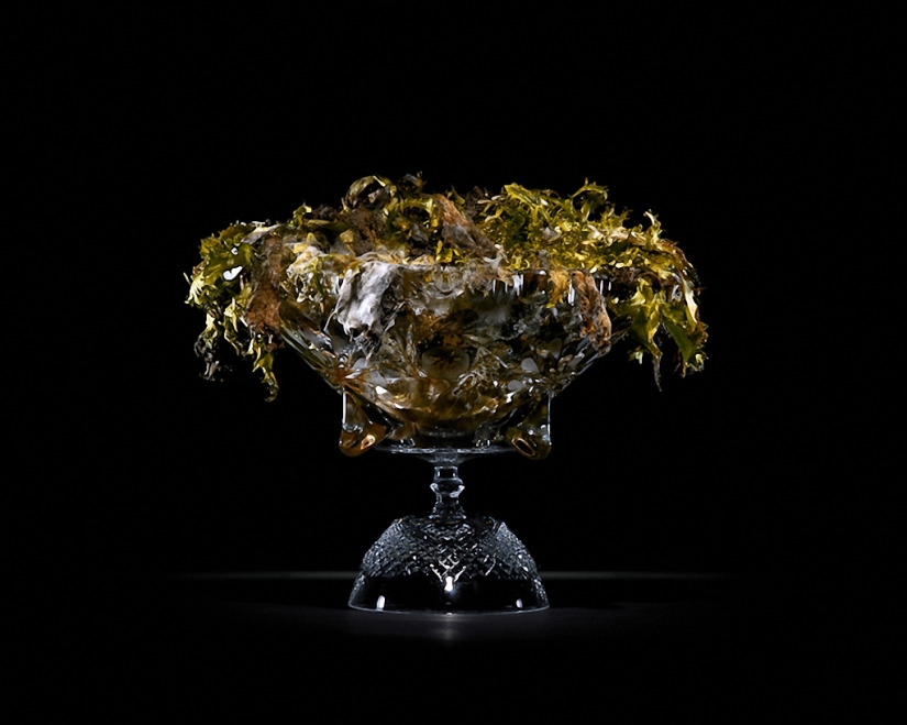 Sickeningly beautiful rotten food
