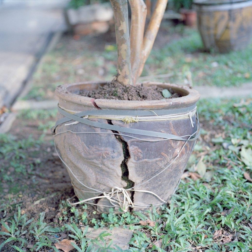 "Singapore": Sleeping areas of the brightest city in Asia "Singapore": Sleeping areas of the brightest city in Asia