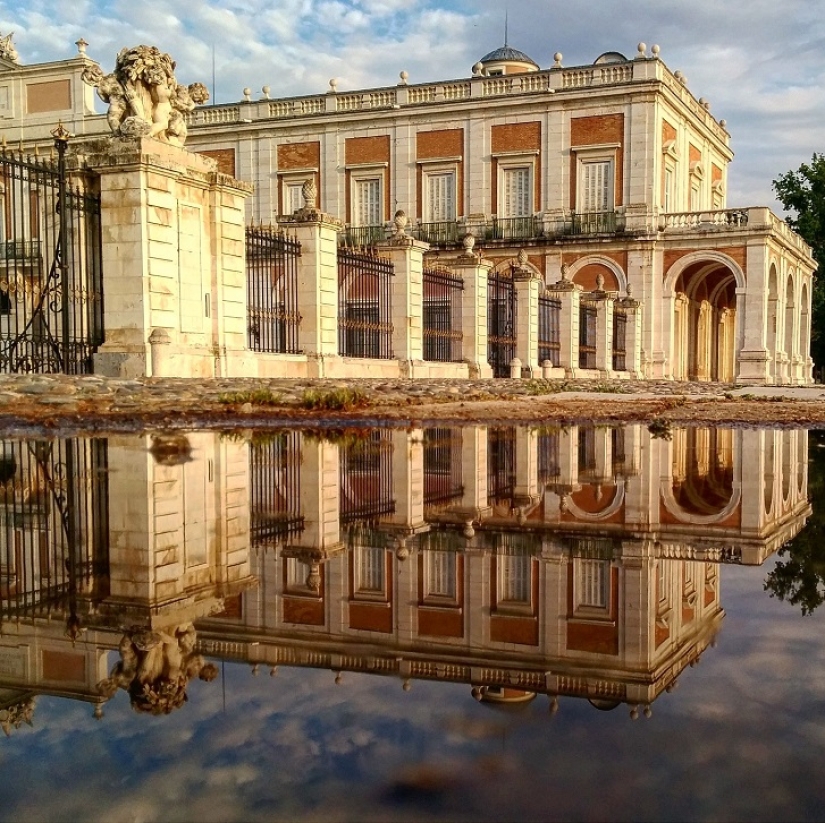 Sit in a puddle: a world of amazing reflections