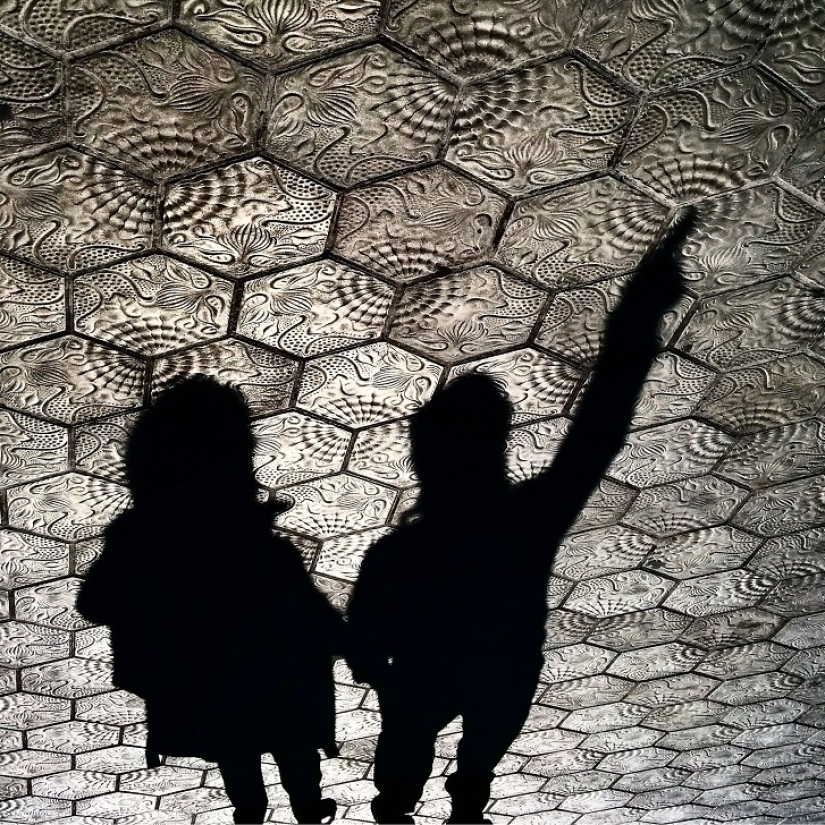 Sit in a puddle: a world of amazing reflections