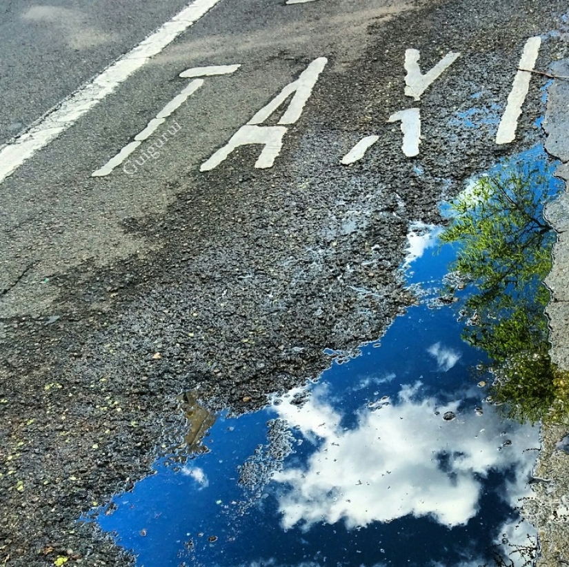 Sit in a puddle: a world of amazing reflections