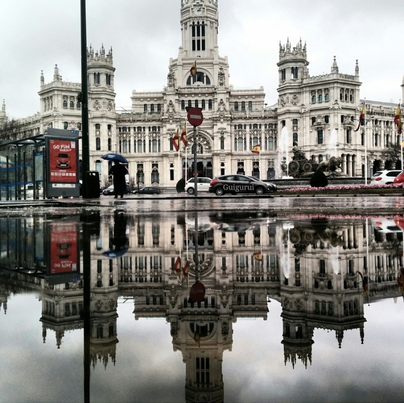 Sit in a puddle: a world of amazing reflections