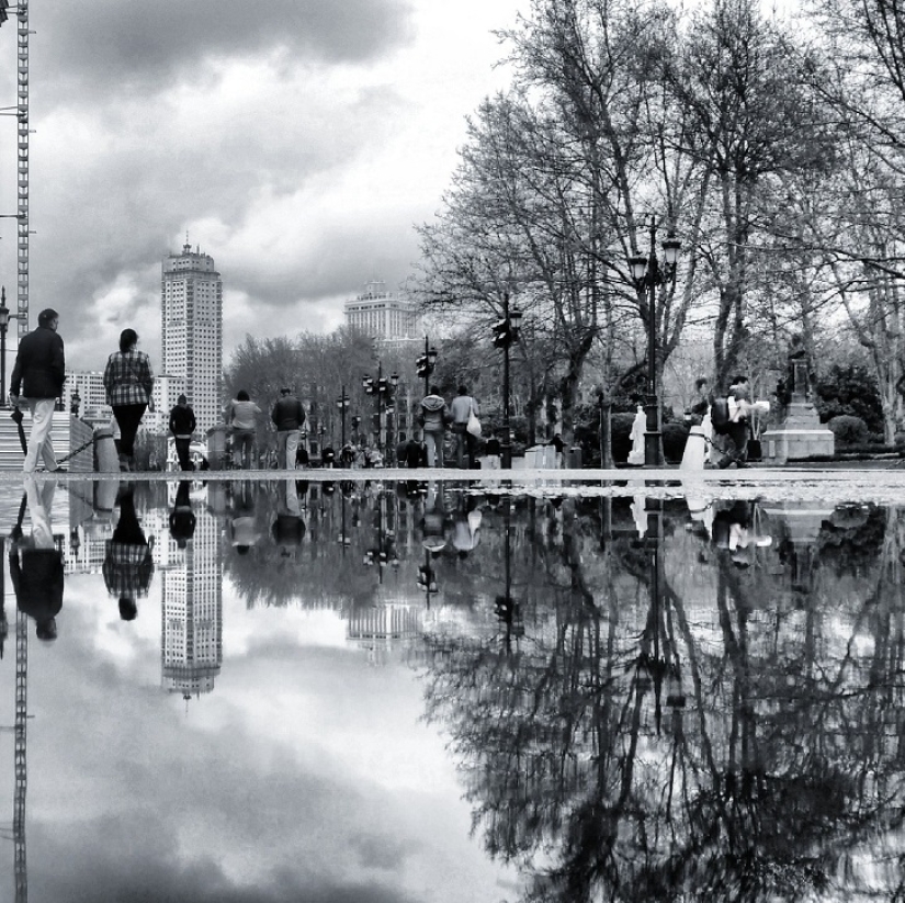 Sit in a puddle: a world of amazing reflections