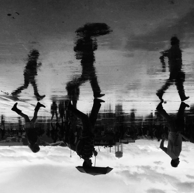 Sit in a puddle: a world of amazing reflections