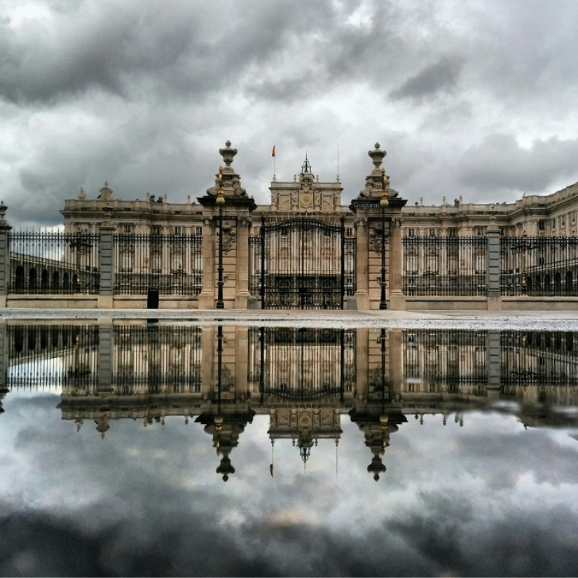 Sit in a puddle: a world of amazing reflections