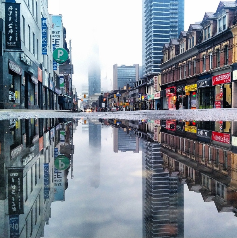 Sit in a puddle: a world of amazing reflections