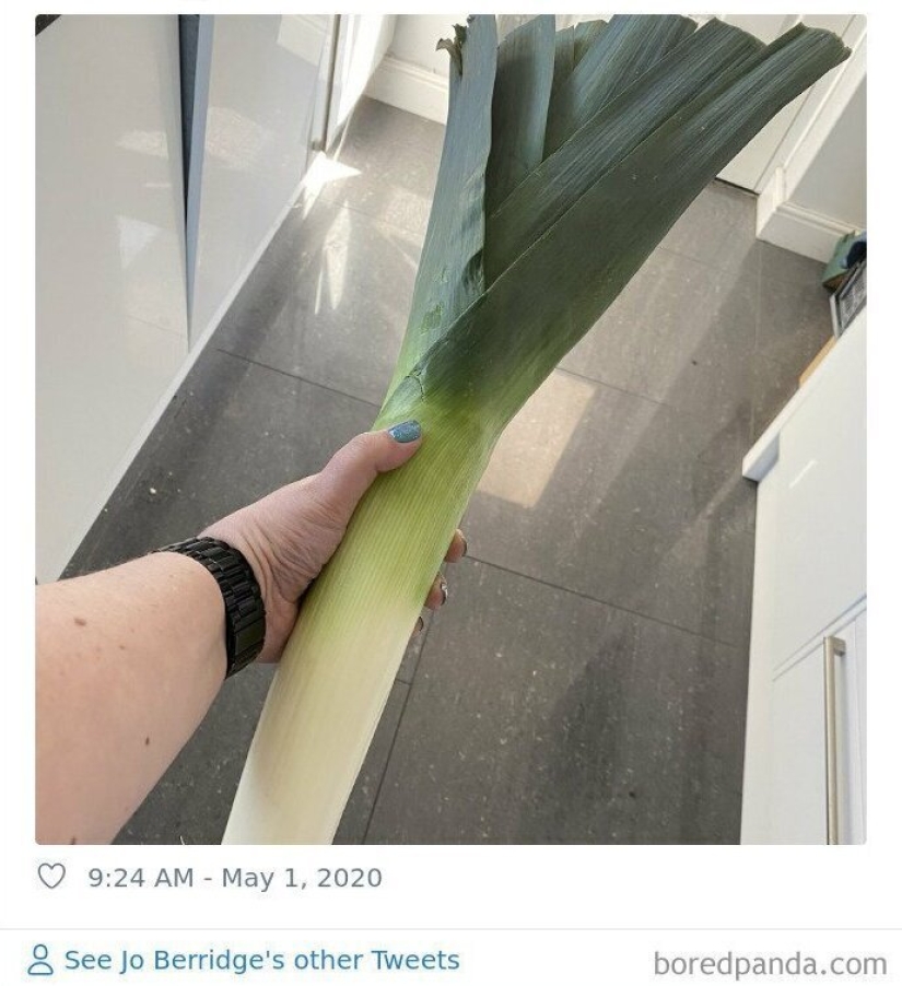 Size matters! 30+ examples, when couriers brought the giant fruits and vegetables
