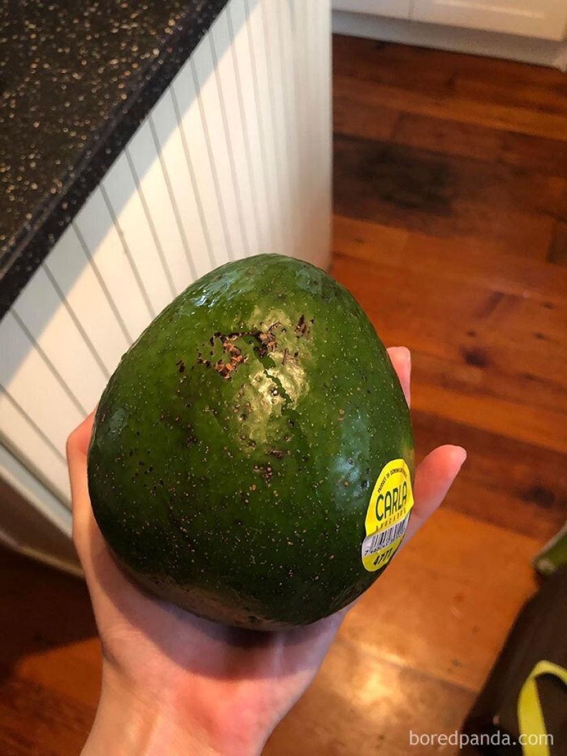 Size matters! 30+ examples, when couriers brought the giant fruits and vegetables