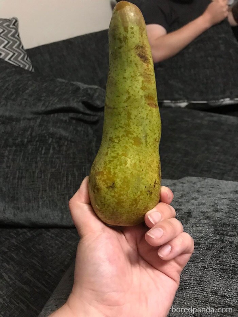 Size matters! 30+ examples, when couriers brought the giant fruits and vegetables