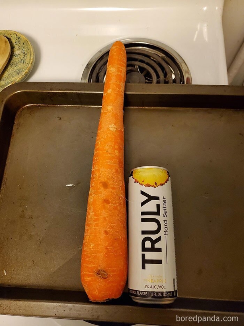 Size matters! 30+ examples, when couriers brought the giant fruits and vegetables
