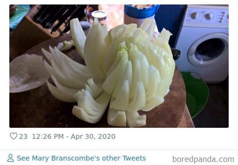 Size matters! 30+ examples, when couriers brought the giant fruits and vegetables