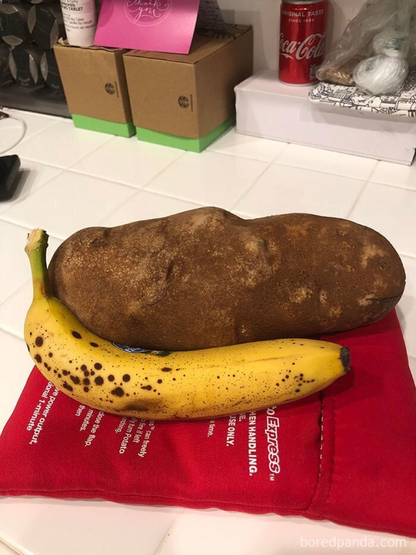 Size matters! 30+ examples, when couriers brought the giant fruits and vegetables