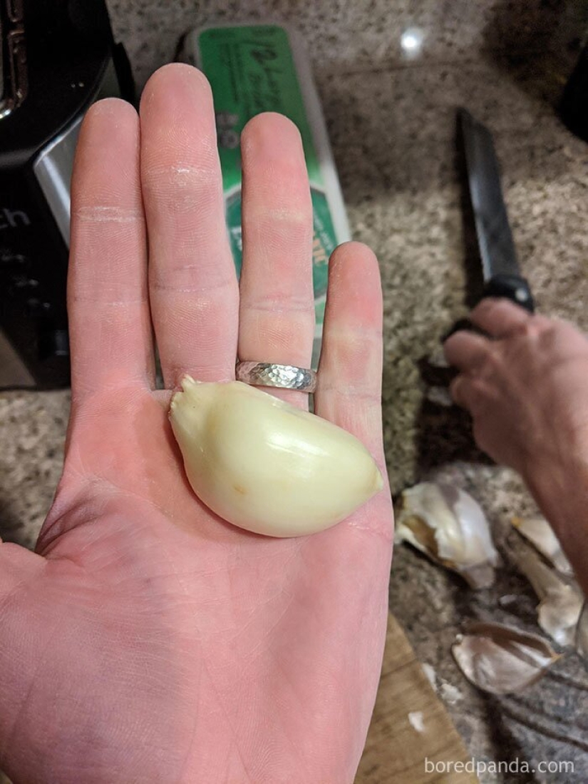 Size matters! 30+ examples, when couriers brought the giant fruits and vegetables