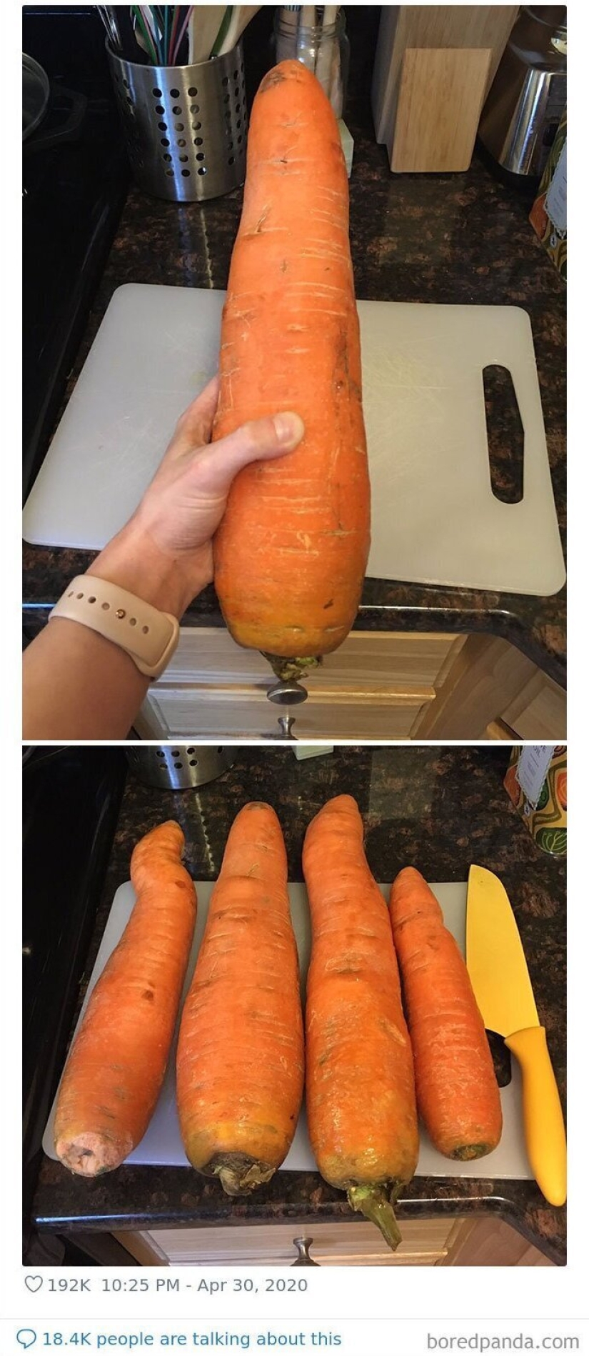 Size matters! 30+ examples, when couriers brought the giant fruits and vegetables