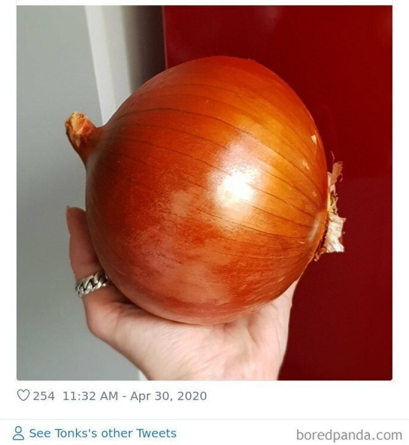 Size matters! 30+ examples, when couriers brought the giant fruits and vegetables