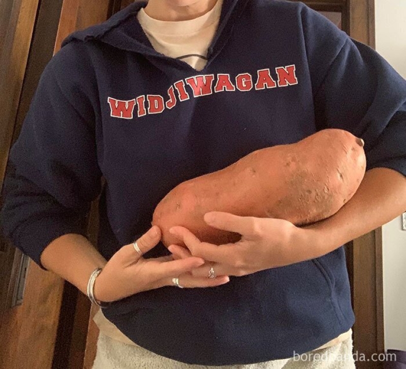 Size matters! 30+ examples, when couriers brought the giant fruits and vegetables