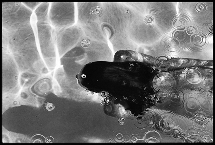 Skinny dipping: the beauty of the naked body by Deanna Templeton Skinny dipping: the beauty of the naked body by Deanna Templeton