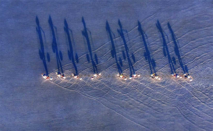 SkyPixel Winners Announced: the best photos taken by drones SkyPixel Winners Announced: the best photos taken by drones
