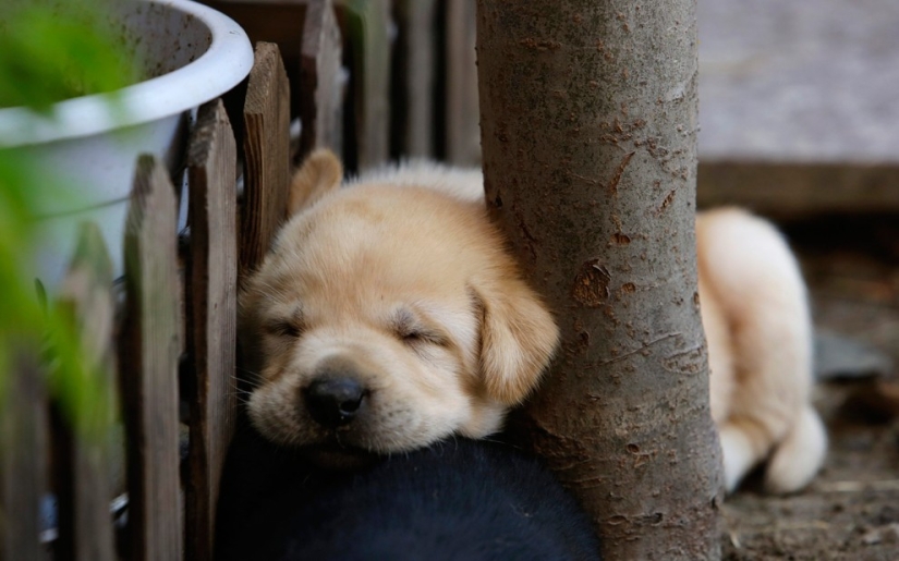 Sleeping people