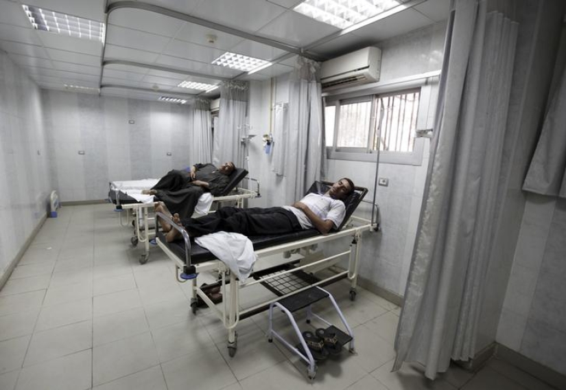 "Sold a kidney? Bring a friend to get money!": a gang of organ dealers was caught in Cairo "Sold a kidney? Bring a friend to get money!": a gang of organ dealers was caught in Cairo