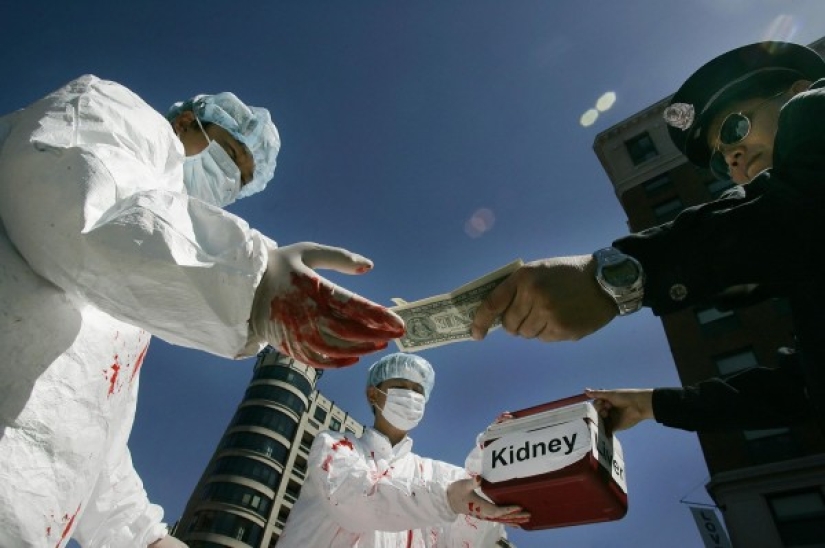 "Sold a kidney? Bring a friend to get money!": a gang of organ dealers was caught in Cairo "Sold a kidney? Bring a friend to get money!": a gang of organ dealers was caught in Cairo