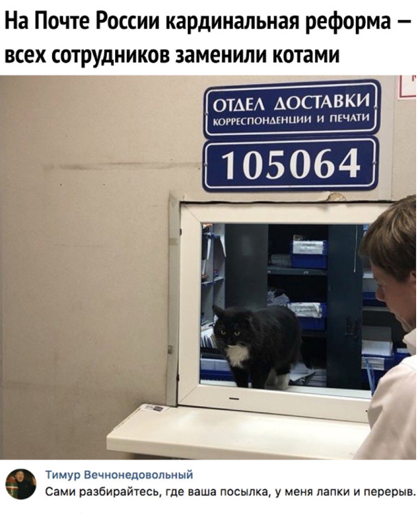 Solo 85 mil millones de rublos y el poco rentable "Russian Post" se volverá mucho "más atractivo"