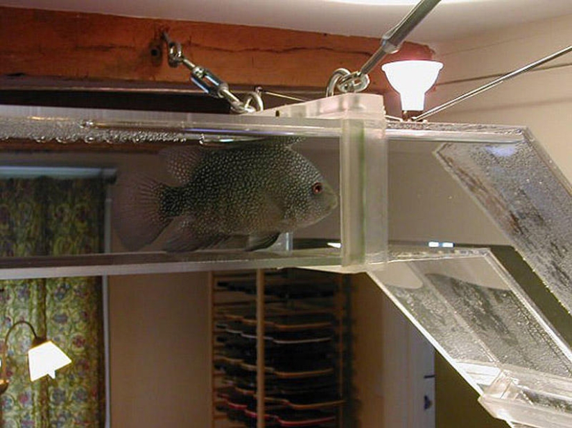 Soluciones de mobiliario para los amantes de los animales