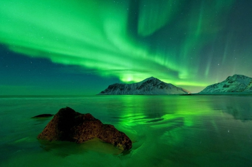 Spectacular spectacle in the Lofoten Islands