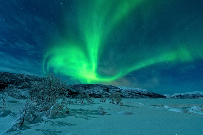 Spectacular spectacle in the Lofoten Islands