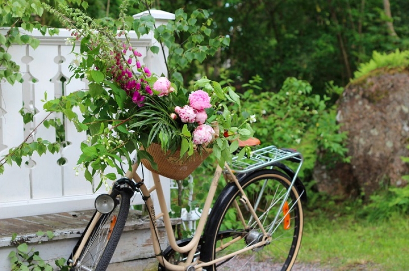 Sport and life: where to store a bicycle in a small apartment Sport and life: where to store a bicycle in a small apartment