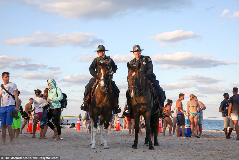 "Spring is coming, make way for spring!": student drunken parties in the USA "Spring is coming, make way for spring!": student drunken parties in the USA