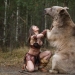 Stepan el Oso es la encarnación viva de los estereotipos sobre Rusia Stepan el Oso es la encarnación viva de los estereotipos sobre Rusia