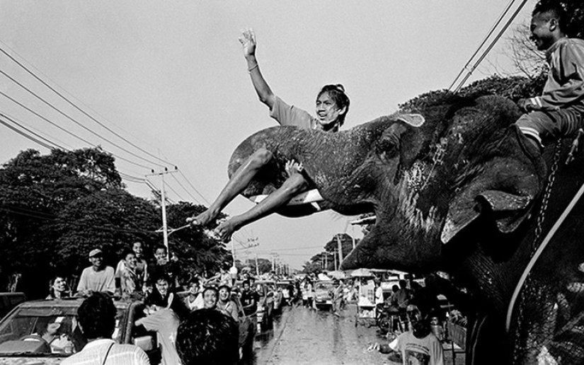 Strong photos about the difficult relationship of Asians with elephants
