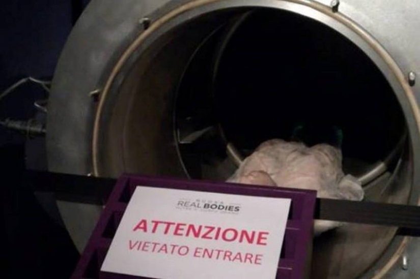 Stuck in eternity: how an obese Italian became a prisoner of the Russian cryocapsule Stuck in eternity: how an obese Italian became a prisoner of the Russian cryocapsule