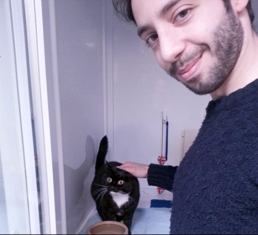 Stunned cat Zelda wins hearts on the Internet with her freaky look