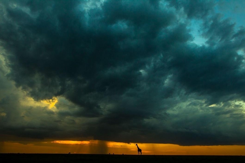 Stunning African sunsets by Paul Goldstein