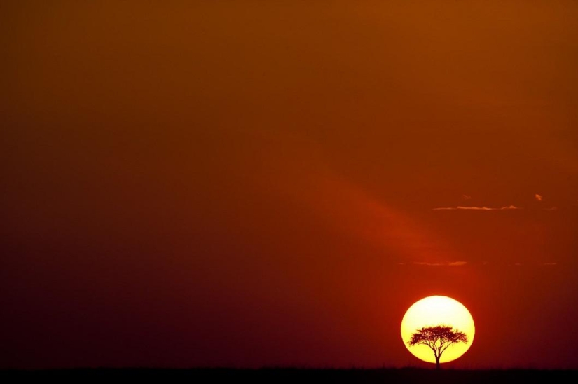 Stunning African sunsets by Paul Goldstein