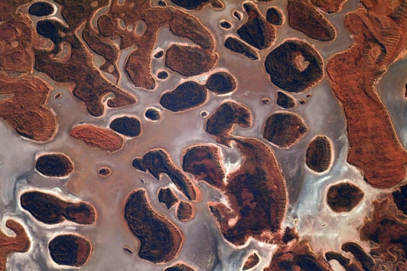 Stunning photos of French astronaut from SpaceX mission capture vibrant auroras and raging wildfires Stunning photos of French astronaut from SpaceX mission capture vibrant auroras and raging wildfires