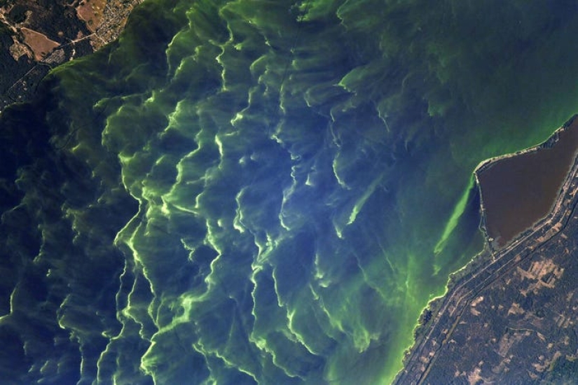 Stunning photos of French astronaut from SpaceX mission capture vibrant auroras and raging wildfires Stunning photos of French astronaut from SpaceX mission capture vibrant auroras and raging wildfires