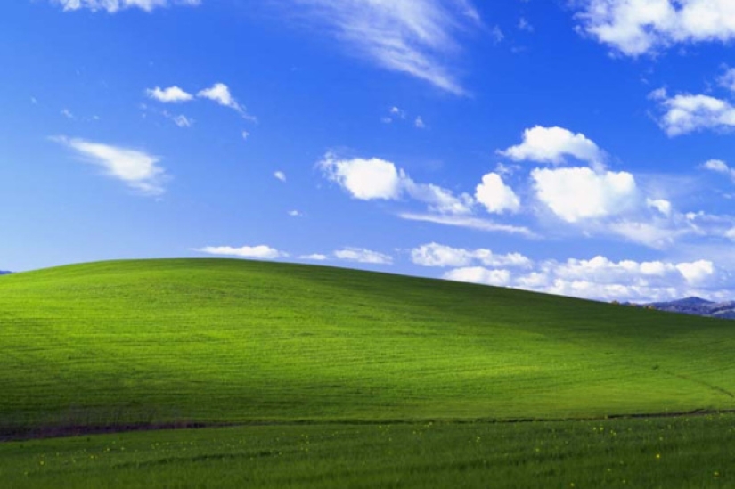 Such different wallpapers: Microsoft paid 100 thousand for "Serenity" and 45 dollars for "Autumn"