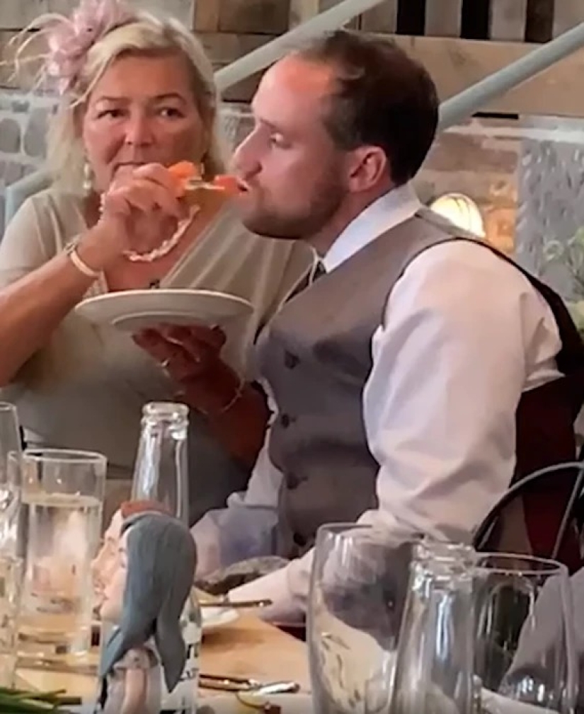 Suegra del año: mujer escocesa cariñosa alimentó a su yerno borracho en la boda
