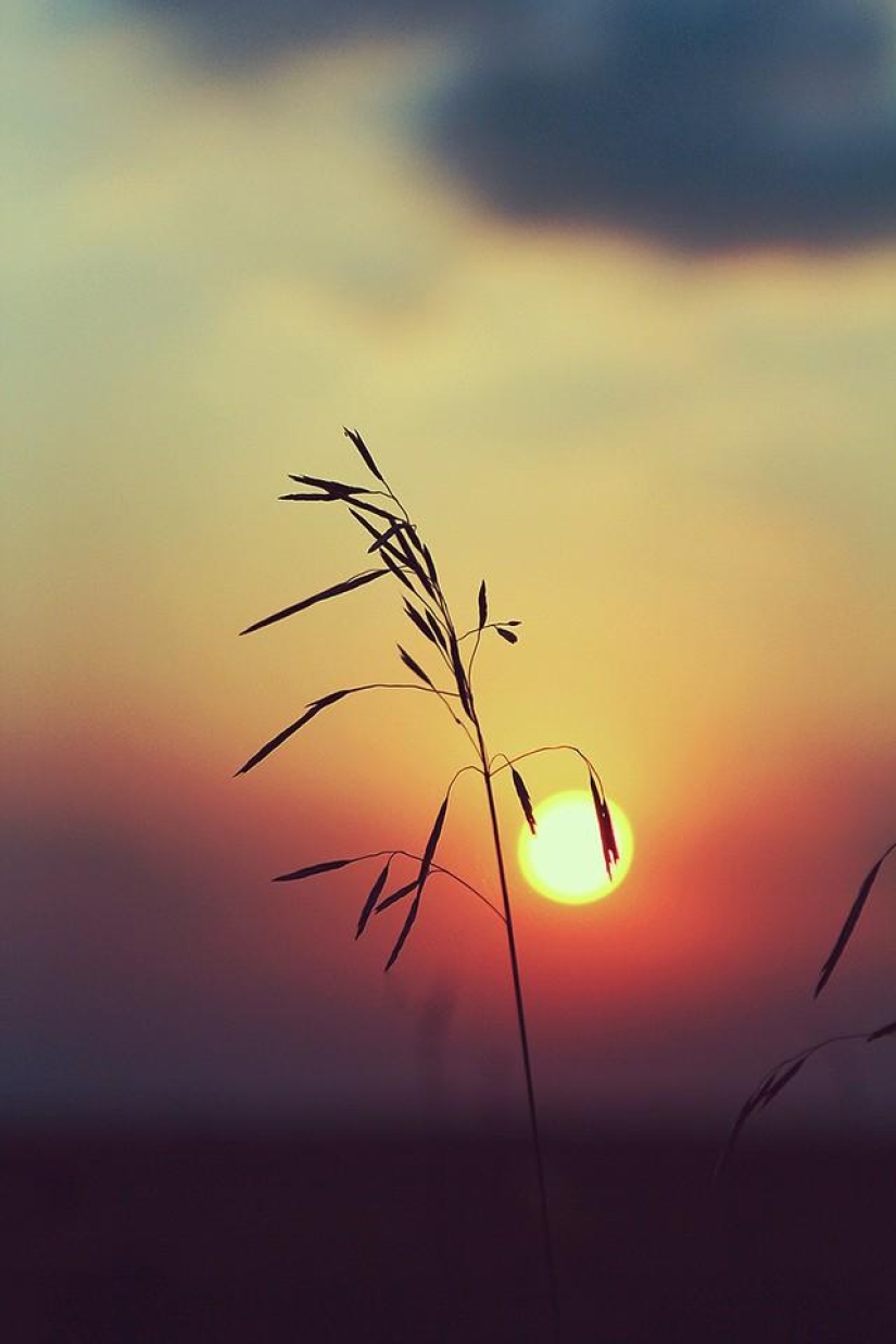 Sunrises, sunsets. Where am I, where are you