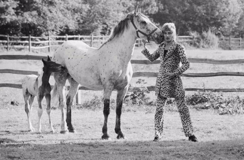 Superestrellas de la década de 1960, fotografiadas por el clásico fotógrafo Terry O'Neill Superestrellas de la década de 1960, fotografiadas por el clásico fotógrafo Terry O'Neill