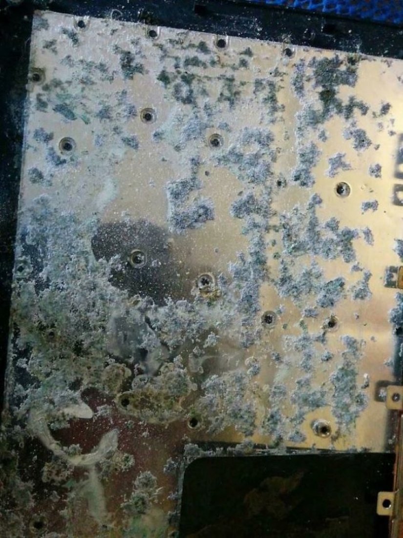 Support staff talk about the worst cases they've experienced at work