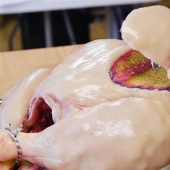 Sweet deception: pastry chef Sarah Hardy baked a cake in the form of a raw turkey