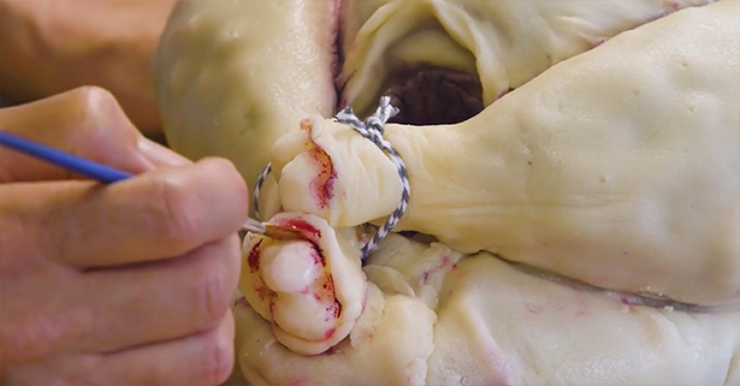 Sweet deception: pastry chef Sarah Hardy baked a cake in the form of a raw turkey